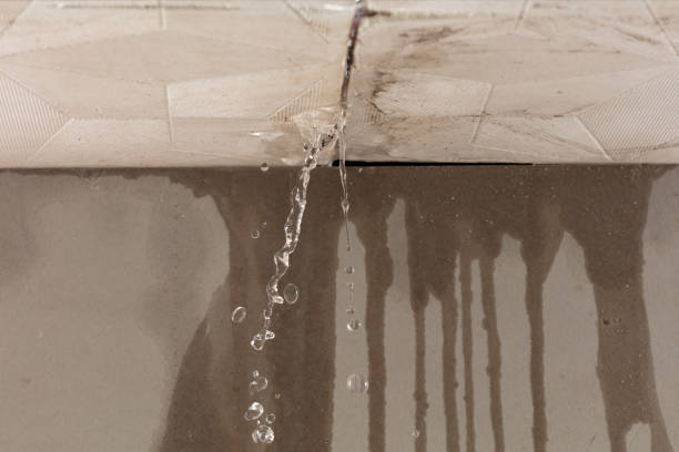 Professional Structural Drying technician working in Rutland, OH